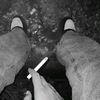 nopalll.a