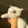 _.suzyy.__