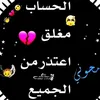 ali_all113