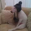 ttminh._