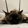 ngocchau271109