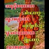 kaung.myat.thu4822