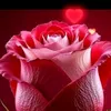 ana.reljic7