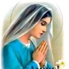 user8156185252036
