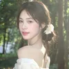 baobao.mz