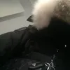leodoantracker