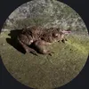 keine.ahnung285