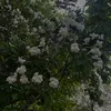 user2701251