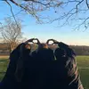 not_harriet12824
