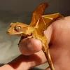 patrikhyllsj