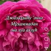 medina_01199