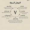 user8853140521828