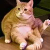mt_vuive