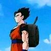 gohan_fa