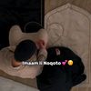 user37981111204024
