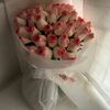 user46561532609604