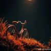 خواطر من القلب
