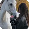 👑بنوته كشخة 🦋