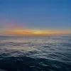 _hannhiu_