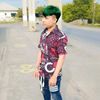donec12