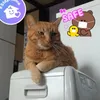 user8117018106241