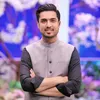 Iqrar ul Hassan Syed