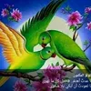 user1861779466841
