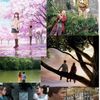 5brightperksofmagic