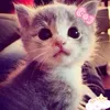 its.hke1