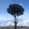 wisnusaputra6858