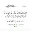 zth_702x