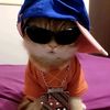 akbarrzzz2610