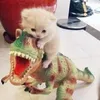 .ilikedinosaurss