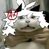 gato_lastick