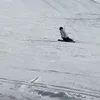 aalvaaritoo00