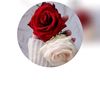 user6180060537160