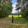maayan_levine