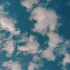 xi_xix8