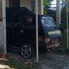 .celeng6
