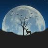 _moon038