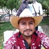 tolimacaperacaperacapera