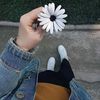 manahil_780