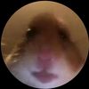 luhvl10