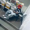 gottay_06