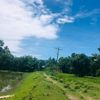 dchowdhury1