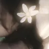 luvhoney.zz