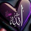 user5331181716246