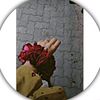 syeda1779