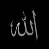 aro_shay3