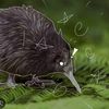 tissue_puppetkiwi